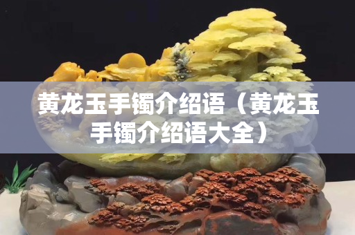 黃龍玉手鐲介紹語（黃龍玉手鐲介紹語大全）