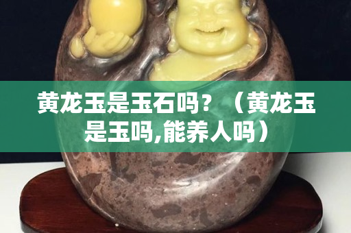 黃龍玉是玉石嗎？（黃龍玉是玉嗎,能養人嗎）