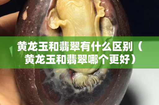 黃龍玉和翡翠有什么區(qū)別（黃龍玉和翡翠哪個更好）