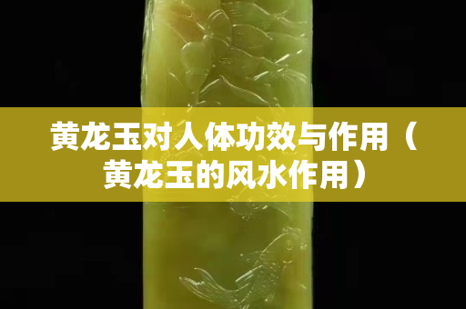 黃龍玉對人體功效與作用（黃龍玉的風水作用）