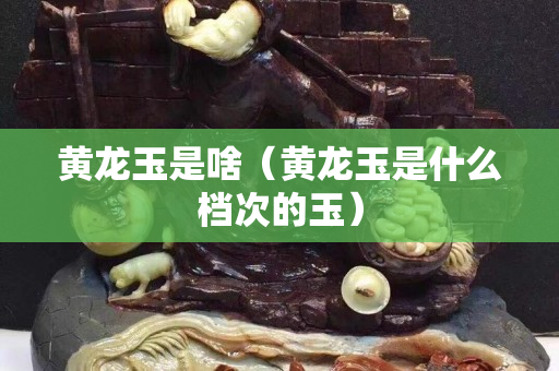 黃龍玉是啥（黃龍玉是什么檔次的玉）