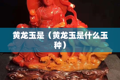 黃龍玉是（黃龍玉是什么玉種）