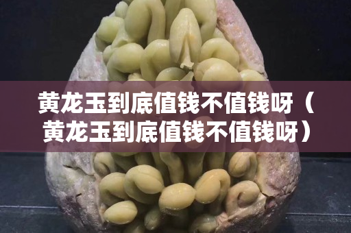 黃龍玉到底值錢不值錢呀（黃龍玉到底值錢不值錢呀）