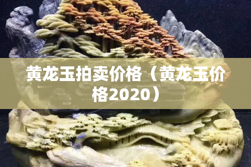 黃龍玉拍賣價格（黃龍玉價格2020）