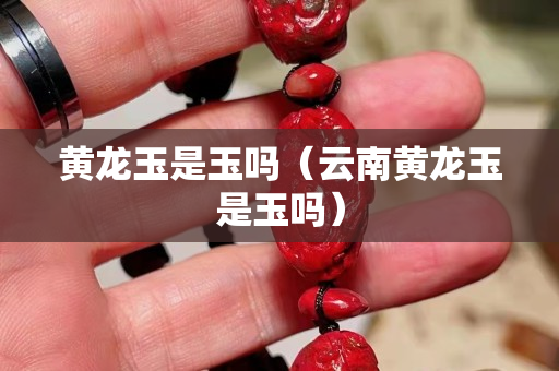 黃龍玉是玉嗎（云南黃龍玉是玉嗎）