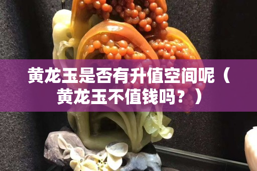 黃龍玉是否有升值空間呢（黃龍玉不值錢嗎？）