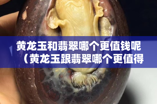 黃龍玉和翡翠哪個更值錢呢（黃龍玉跟翡翠哪個更值得收藏）