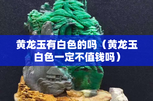 黃龍玉有白色的嗎（黃龍玉白色一定不值錢嗎）