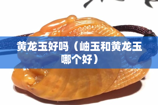 黃龍玉好嗎（岫玉和黃龍玉哪個好）