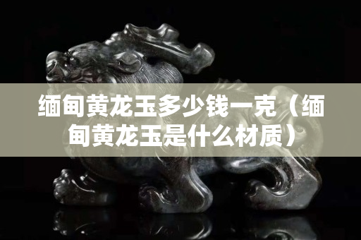 緬甸黃龍玉多少錢一克（緬甸黃龍玉是什么材質）