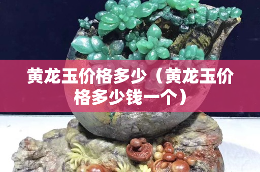 黃龍玉價格多少（黃龍玉價格多少錢一個）