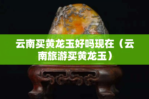 云南買黃龍玉好嗎現在（云南旅游買黃龍玉）