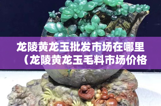 龍陵黃龍玉批發市場在哪里（龍陵黃龍玉毛料市場價格）