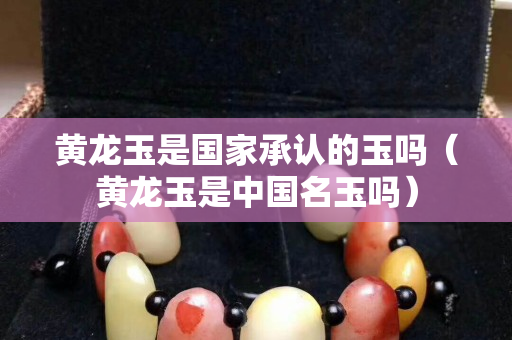 黃龍玉是國家承認的玉嗎（黃龍玉是中國名玉嗎）