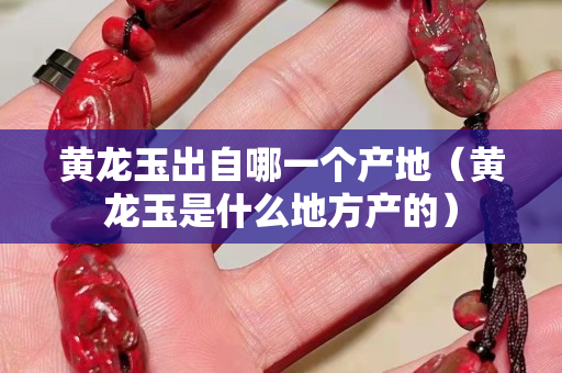 黃龍玉出自哪一個產地（黃龍玉是什么地方產的）