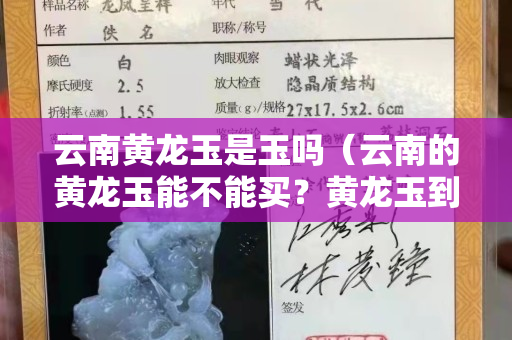 云南黃龍玉是玉嗎（云南的黃龍玉能不能買？黃龍玉到底是不是玉？）