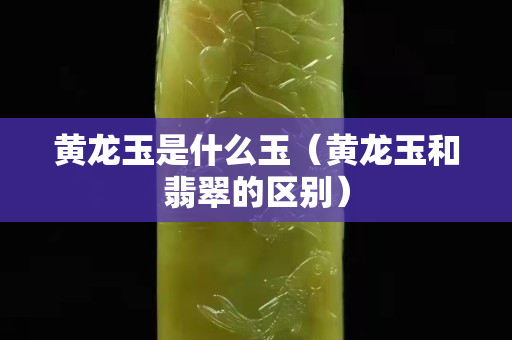 黃龍玉是什么玉（黃龍玉和翡翠的區別）
