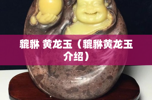 貔貅 黃龍玉（貔貅黃龍玉介紹）