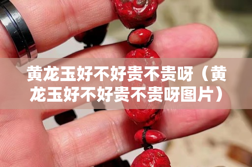 黃龍玉好不好貴不貴呀（黃龍玉好不好貴不貴呀圖片）