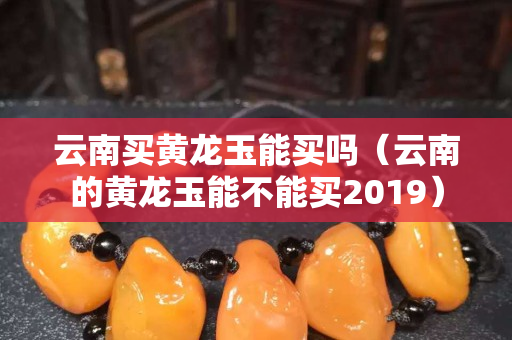 云南買黃龍玉能買嗎（云南的黃龍玉能不能買2019）