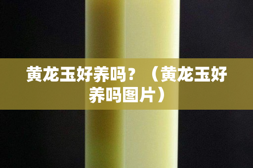 黃龍玉好養(yǎng)嗎？（黃龍玉好養(yǎng)嗎圖片）