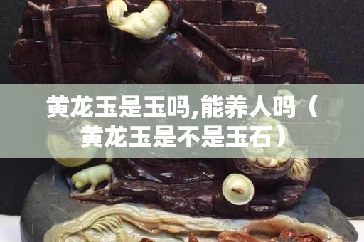 黃龍玉是玉嗎,能養人嗎（黃龍玉是不是玉石）