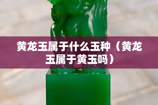 黃龍玉屬于什么玉種（黃龍玉屬于黃玉嗎）
