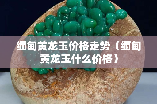 緬甸黃龍玉價格走勢（緬甸黃龍玉什么價格）