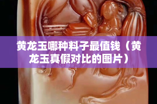 黃龍玉哪種料子最值錢（黃龍玉真假對比的圖片）
