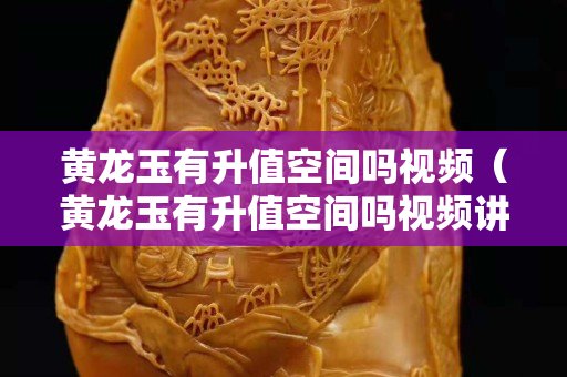 黃龍玉有升值空間嗎視頻（黃龍玉有升值空間嗎視頻講解）