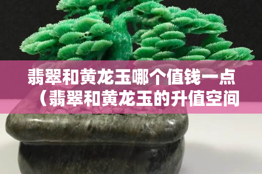 翡翠和黃龍玉哪個值錢一點（翡翠和黃龍玉的升值空間）