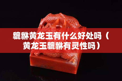 貔貅黃龍玉有什么好處嗎（黃龍玉貔貅有靈性嗎）
