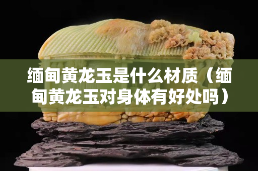 緬甸黃龍玉是什么材質（緬甸黃龍玉對身體有好處嗎）