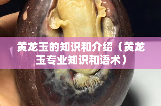 黃龍玉的知識和介紹（黃龍玉專業知識和語術）