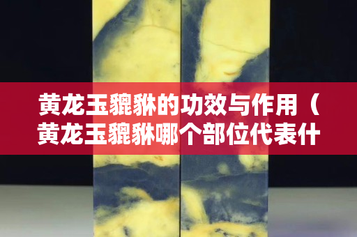 黃龍玉貔貅的功效與作用（黃龍玉貔貅哪個部位代表什么意思）