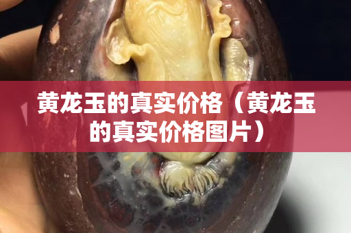 黃龍玉的真實價格（黃龍玉的真實價格圖片）
