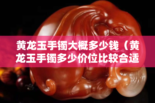 黃龍玉手鐲大概多少錢（黃龍玉手鐲多少價位比較合適）