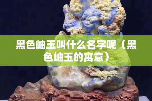 黑色岫玉叫什么名字呢（黑色岫玉的寓意）