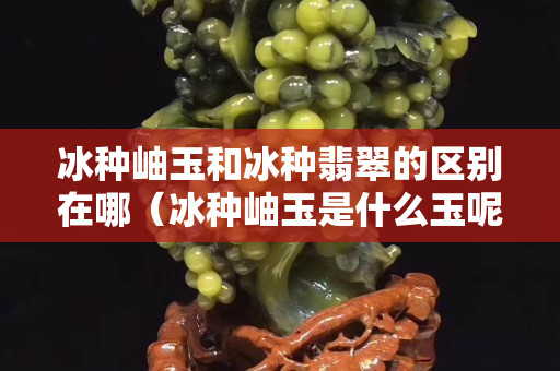 冰種岫玉和冰種翡翠的區別在哪（冰種岫玉是什么玉呢）