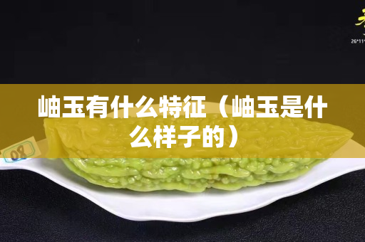 岫玉有什么特征（岫玉是什么樣子的）