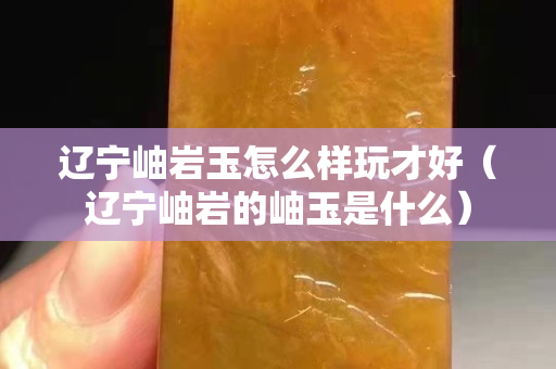 遼寧岫巖玉怎么樣玩才好（遼寧岫巖的岫玉是什么）