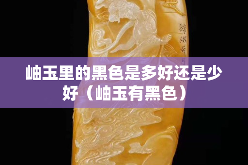 岫玉里的黑色是多好還是少好（岫玉有黑色）
