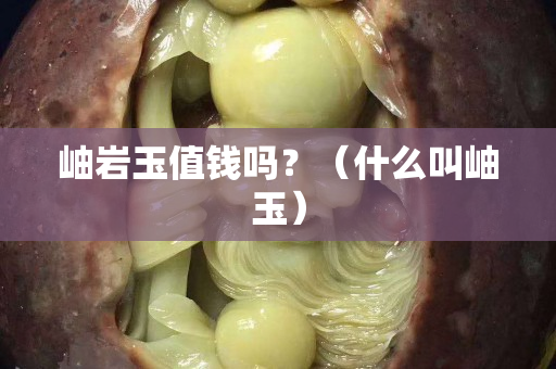 岫巖玉值錢嗎？（什么叫岫玉）