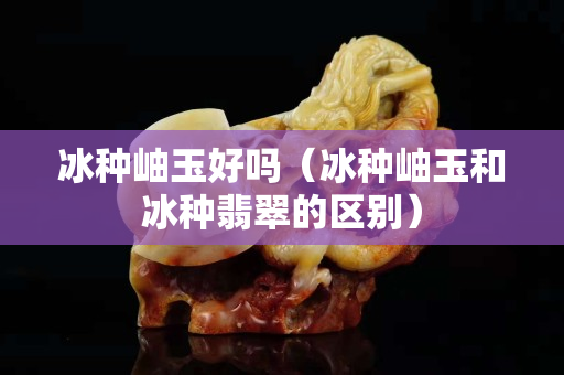 冰種岫玉好嗎（冰種岫玉和冰種翡翠的區(qū)別）