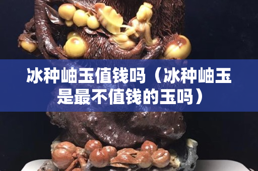 冰種岫玉值錢嗎（冰種岫玉是最不值錢的玉嗎）