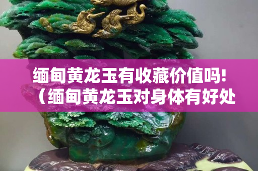 緬甸黃龍玉有收藏價值嗎!（緬甸黃龍玉對身體有好處嗎）