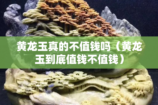 黃龍玉真的不值錢嗎（黃龍玉到底值錢不值錢）