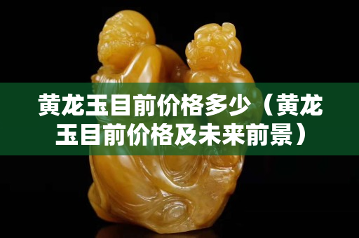 黃龍玉目前價格多少（黃龍玉目前價格及未來前景）