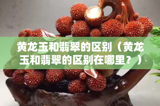 黃龍玉和翡翠的區別（黃龍玉和翡翠的區別在哪里？）
