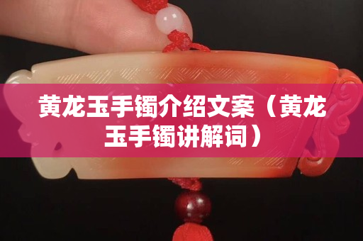 黃龍玉手鐲介紹文案（黃龍玉手鐲講解詞）